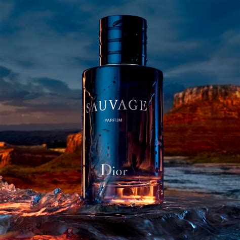 sauvage dior perfume for men or women|sauvage dior for women price.